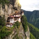 5 WILDLIFE & BIRD-WATCHING TOURS IN BHUTAN