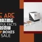 Here Are 5 Amazing And Useful Facts About Display Boxes For Sale