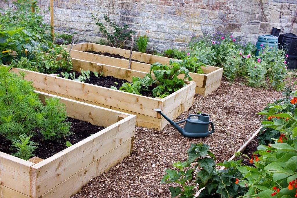 Garden Bed