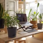 Creating a productive and healthy home work space