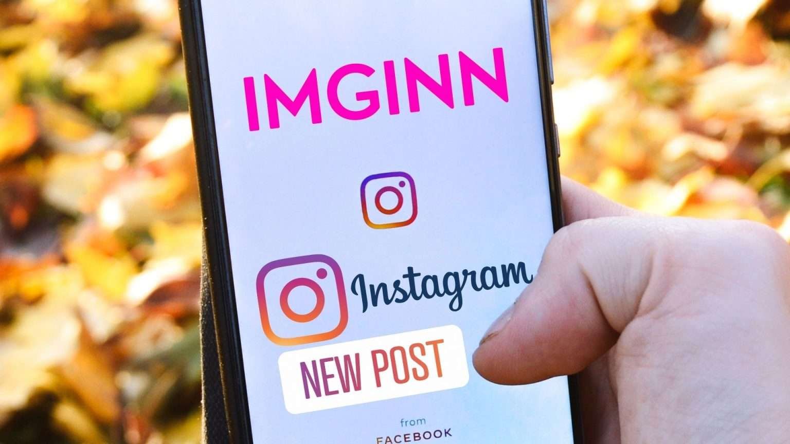 Imginn