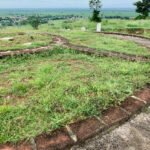 JAIN FARM