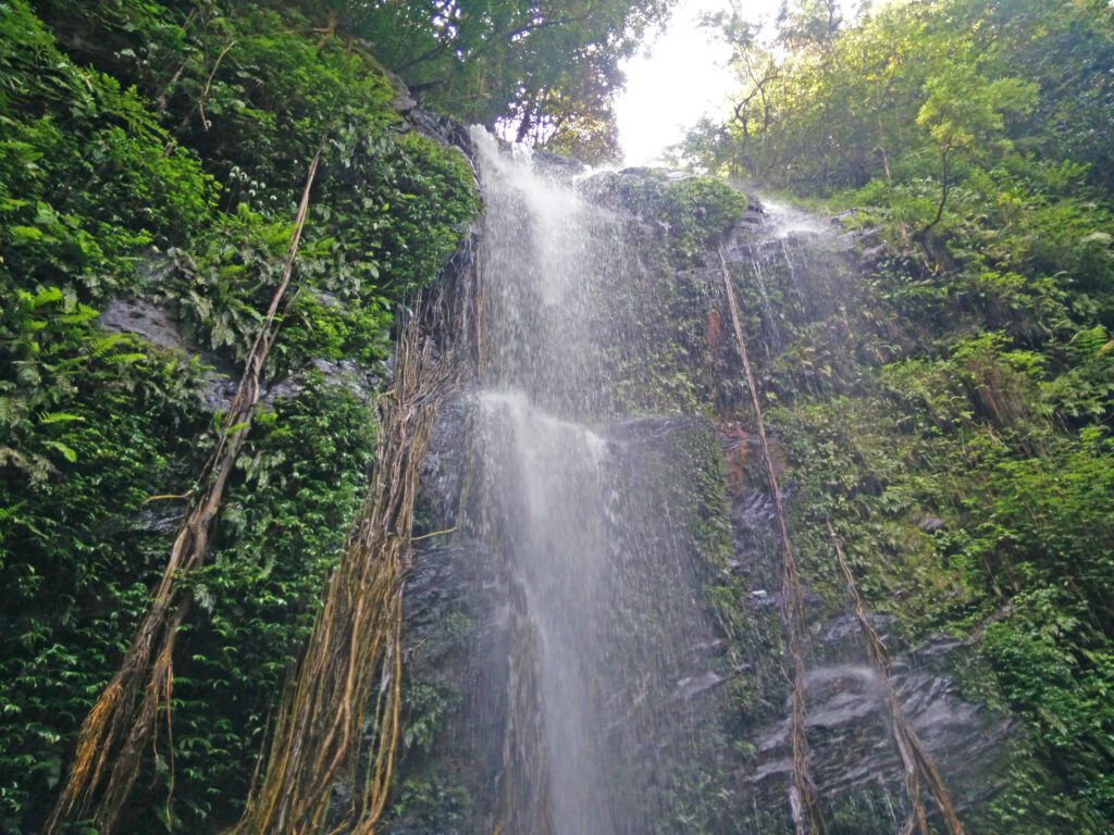 Kodachadri trek