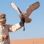 Desert Safari Abu Dhabi Activities To Enjoy