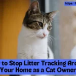 How to Stop Litter Tracking Around Your Home as a Cat Owner