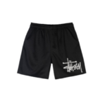 stussy shorts