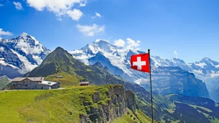 Multinational Startups