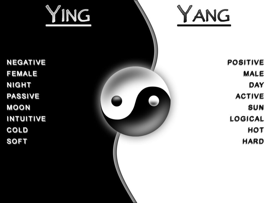 Yin or Yang Meaning