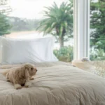 Eco Linen